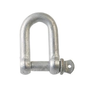 Shackle Commercial Grade Dee Galvanised