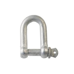 Shackle Trailer Safety Dee Galvanised