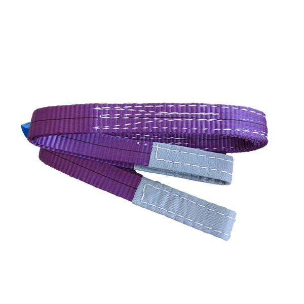 Sling 1.0 Tonne Violet Chain & Rigging Supplies